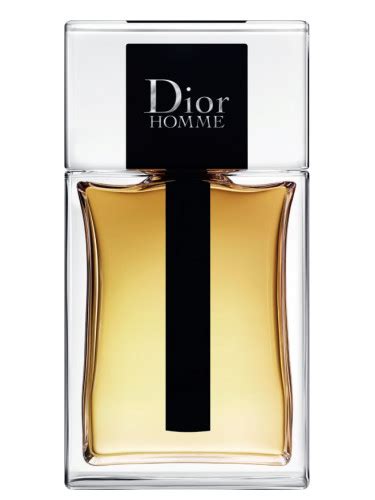 fragratica dior homme parfumme|christian dior homme 2020.